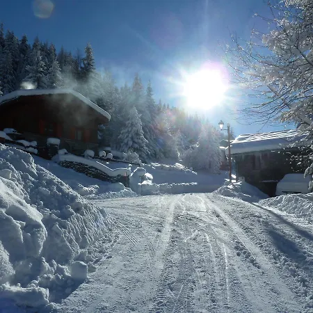 Jonquille * Valfrejus