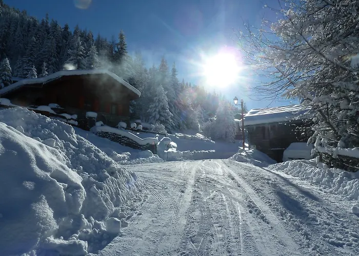 Jonquille * Valfrejus